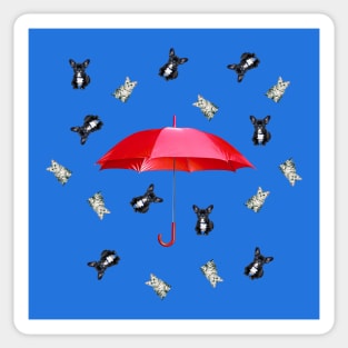 Raining Cats and Dogs Sticker